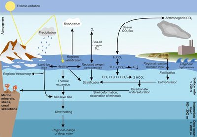 Effects Of Climate Change On Oceans