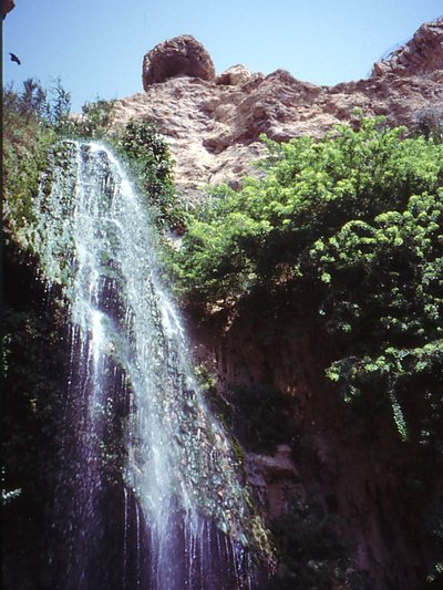 Ein Gedi