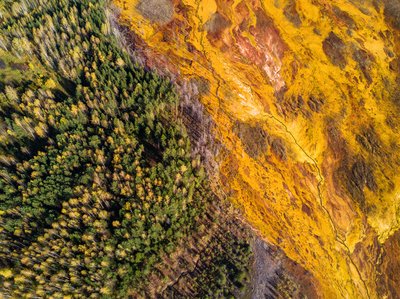 Environmental Disaster