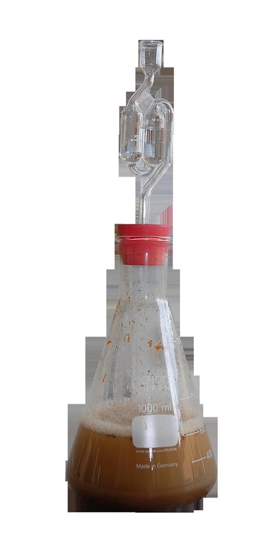 Ethanol fermentation