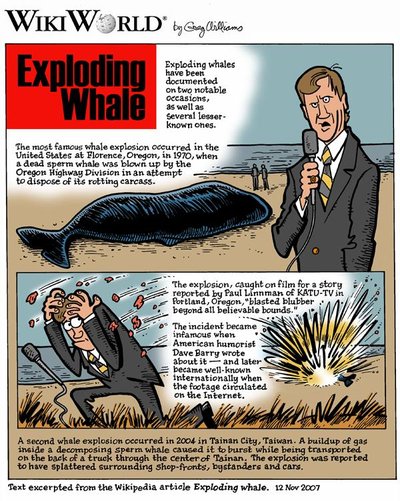 Exploding Whale
