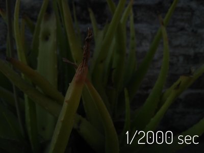 Exposure (Photography)