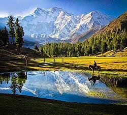 Fairy Meadows National Park