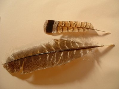 Feather