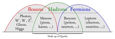Fermion