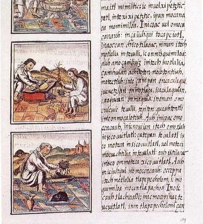 Florentine Codex