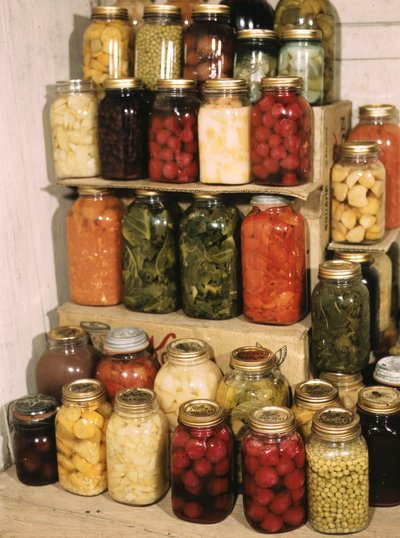 Food Preservation