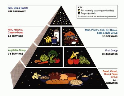 Food pyramid (nutrition)