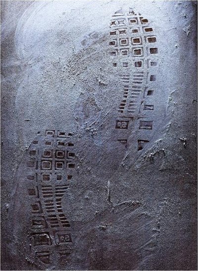 Forensic photography