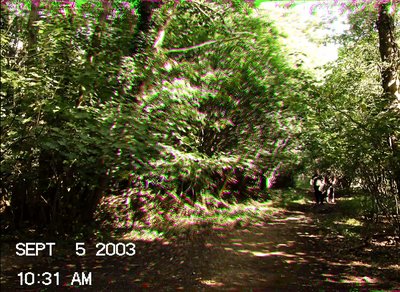 Found footage (film technique)