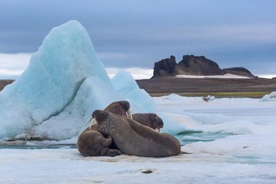Franz Josef Land