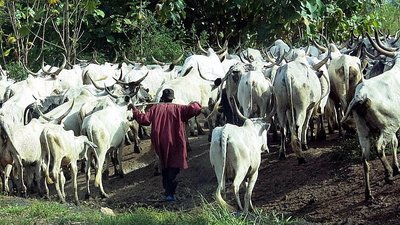 Fulani herdsmen