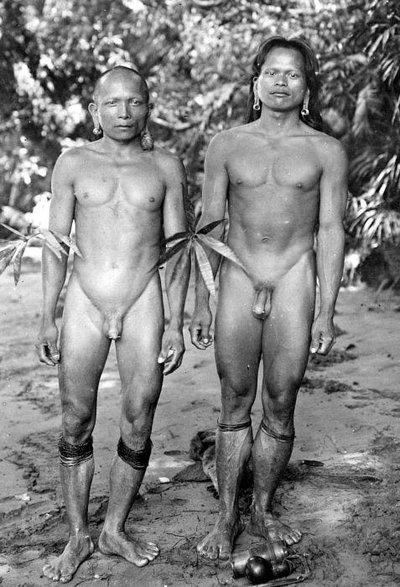 Genital Modification And Mutilation