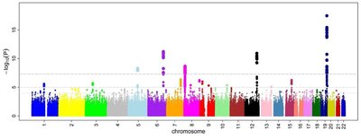 Genome-Wide Association Study