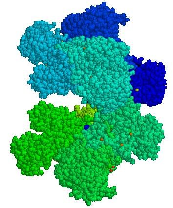 Glucose-6-Phosphate Dehydrogenase Deficiency