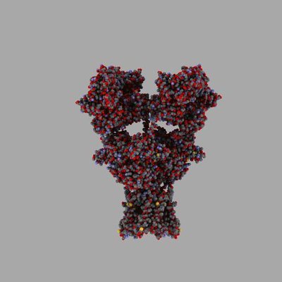 Glutamate Receptor