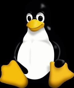 Gnu/Linux Naming Controversy