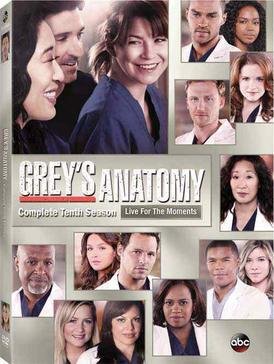 Grey's Anatomy season 10