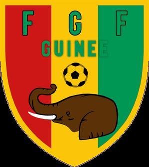 Guinea national football team