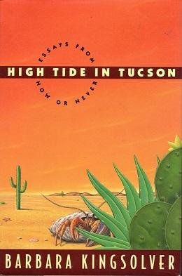 High Tide in Tucson