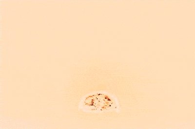 History Of Nuclear Weapons