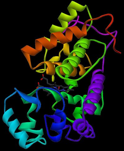 Horseradish Peroxidase