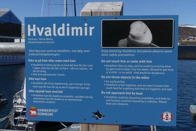 Hvaldimir