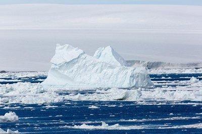 Iceberg