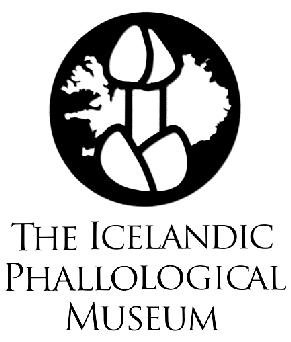Icelandic Phallological Museum
