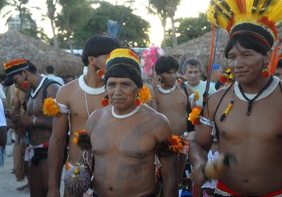 Indigenous peoples in Brazil