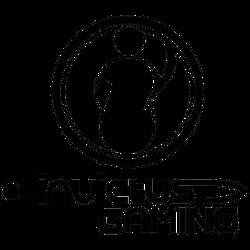 Invictus Gaming