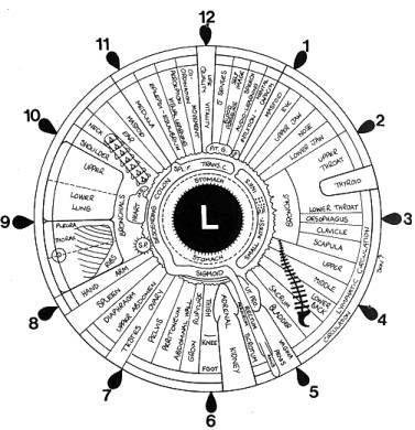 Iridology