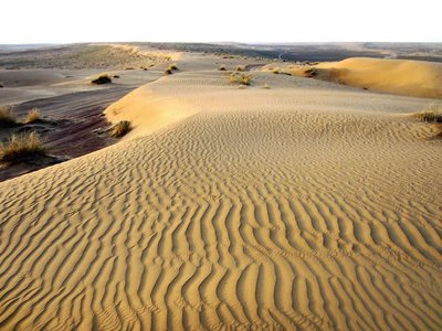 Karakum Desert