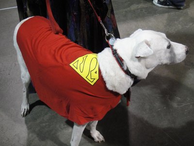 Krypto