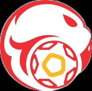 Kyrgyzstan National Football Team