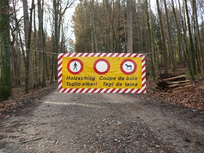 Languages Of Switzerland