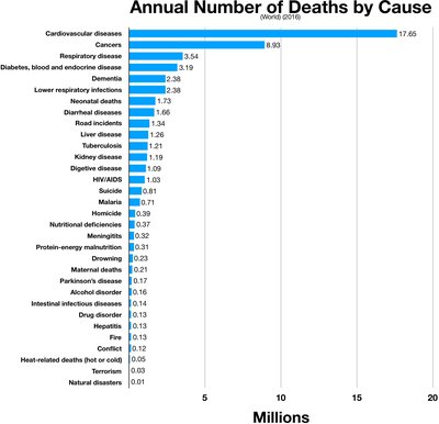 List Of Causes Of Death By Rate