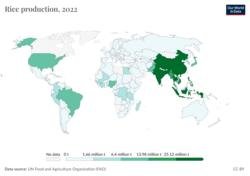 List Of Countries By Rice Production