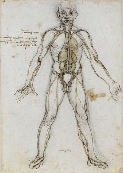 List Of Systems Of The Human Body