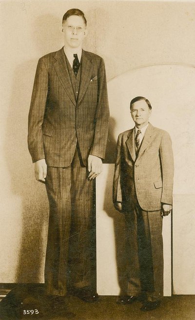 List of tallest people
