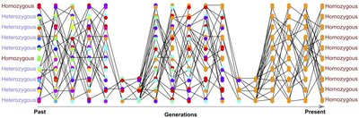 Loss Of Heterozygosity