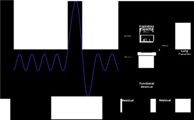 Lung volumes