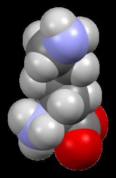 Lysine