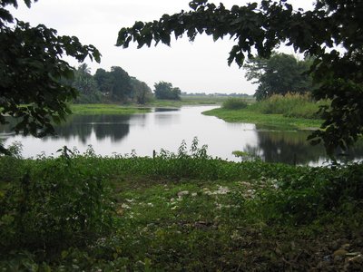 Majuli