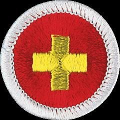 Merit badge (Boy Scouts of America)