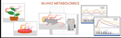 Metabolomics
