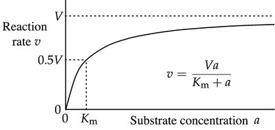 Michaelis–Menten Kinetics