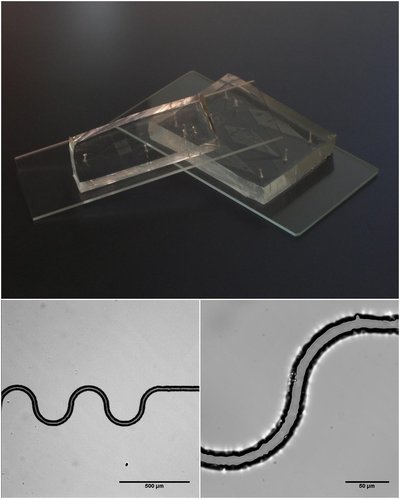 Microfluidics