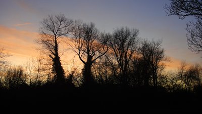 Middle-earth peoples