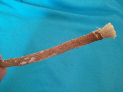 Miswak